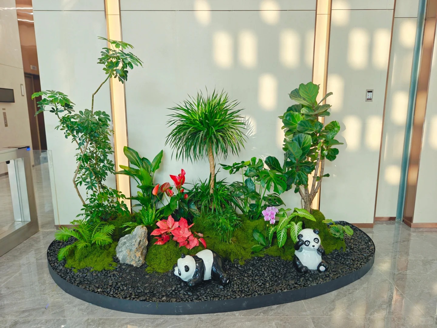 专业的鄞州植物租摆,为空间注入生机与自然之美!